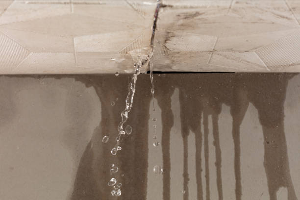 Professional Structural Drying technician working in Garden City, MO